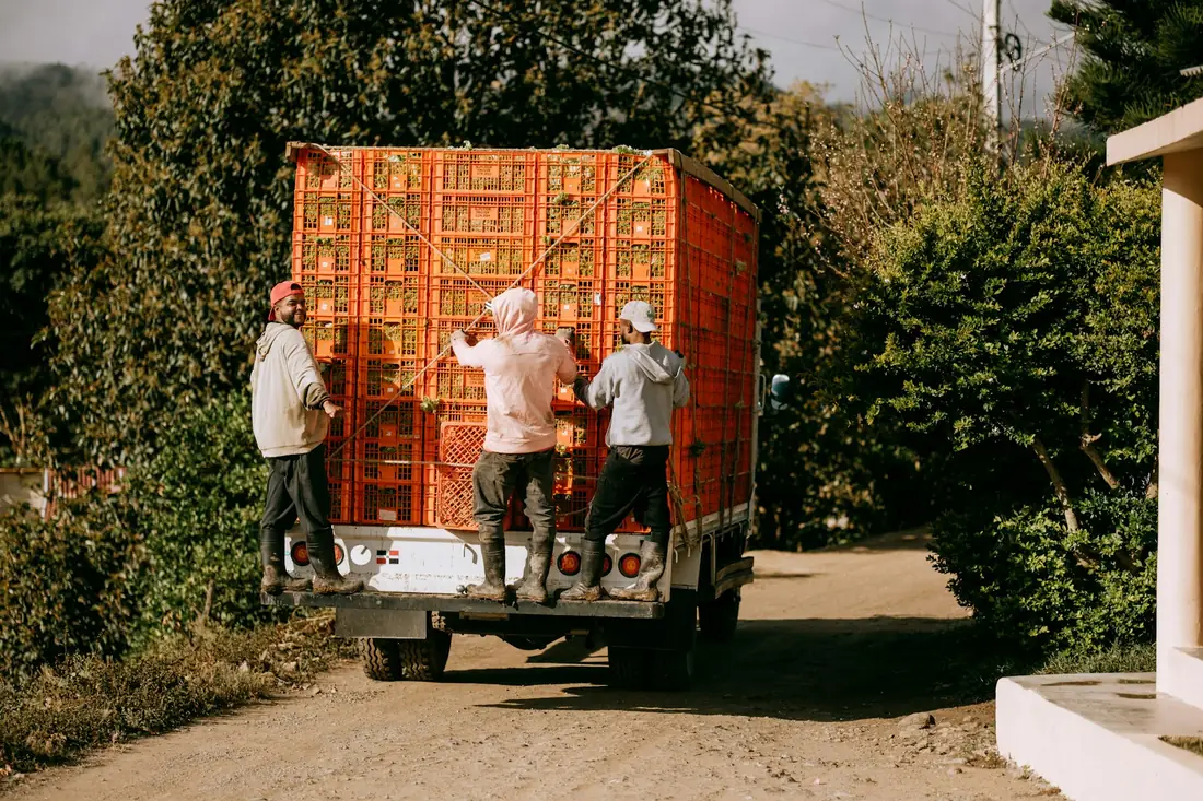 Workers securing cargo on a loaded truck